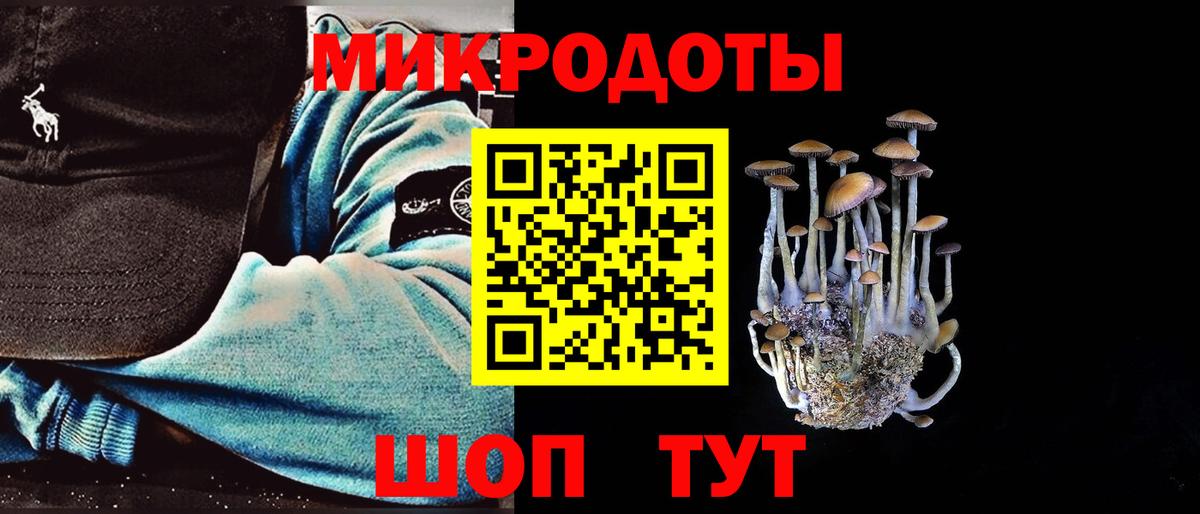 Галлюциногенные грибы Cubensis  Вход с VPN  Бугульма 