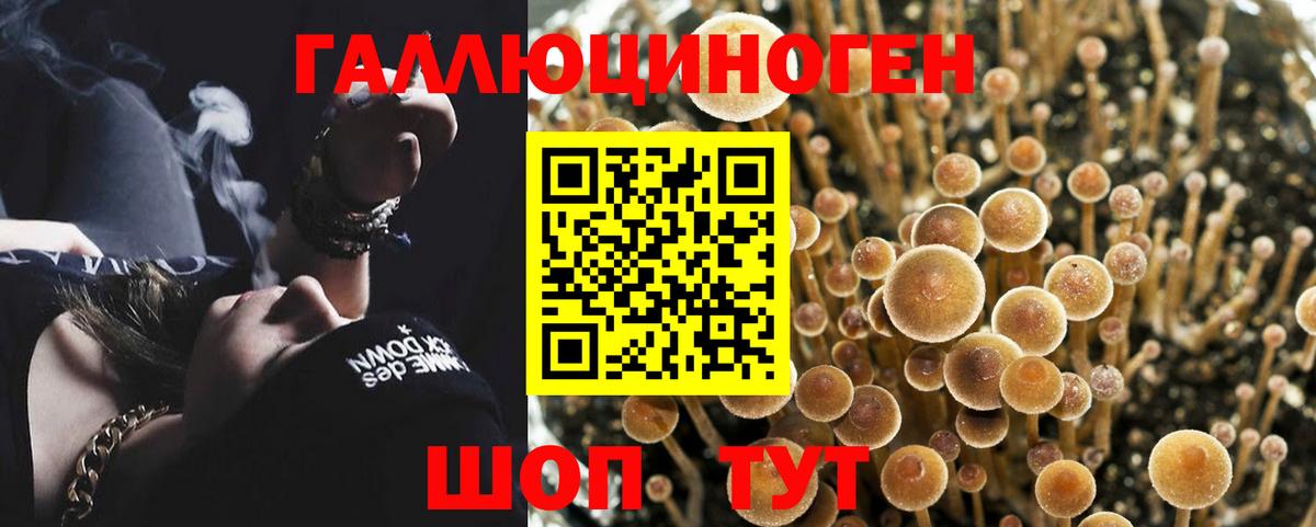 Галлюциногенные грибы мицелий Бугульма